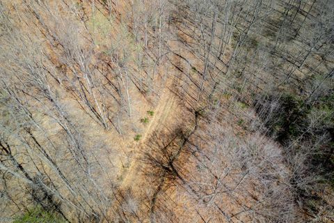 Tiny photo for 0 Christian Mill Creek Road, Amherst, VA 24521 (MLS # 365317)