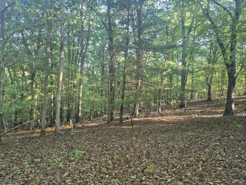 Tiny photo for 404 Darrell Lane, Hurt, VA 24563 (MLS # 362779)