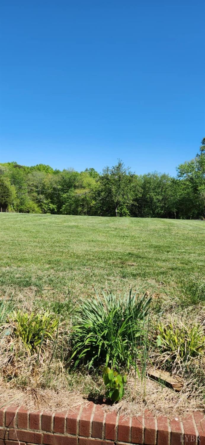 299 Blue Ridge Drive, Troy, Virginia image 3