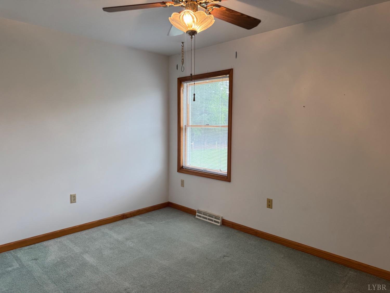 299 Blue Ridge Drive, Troy, Virginia image 20