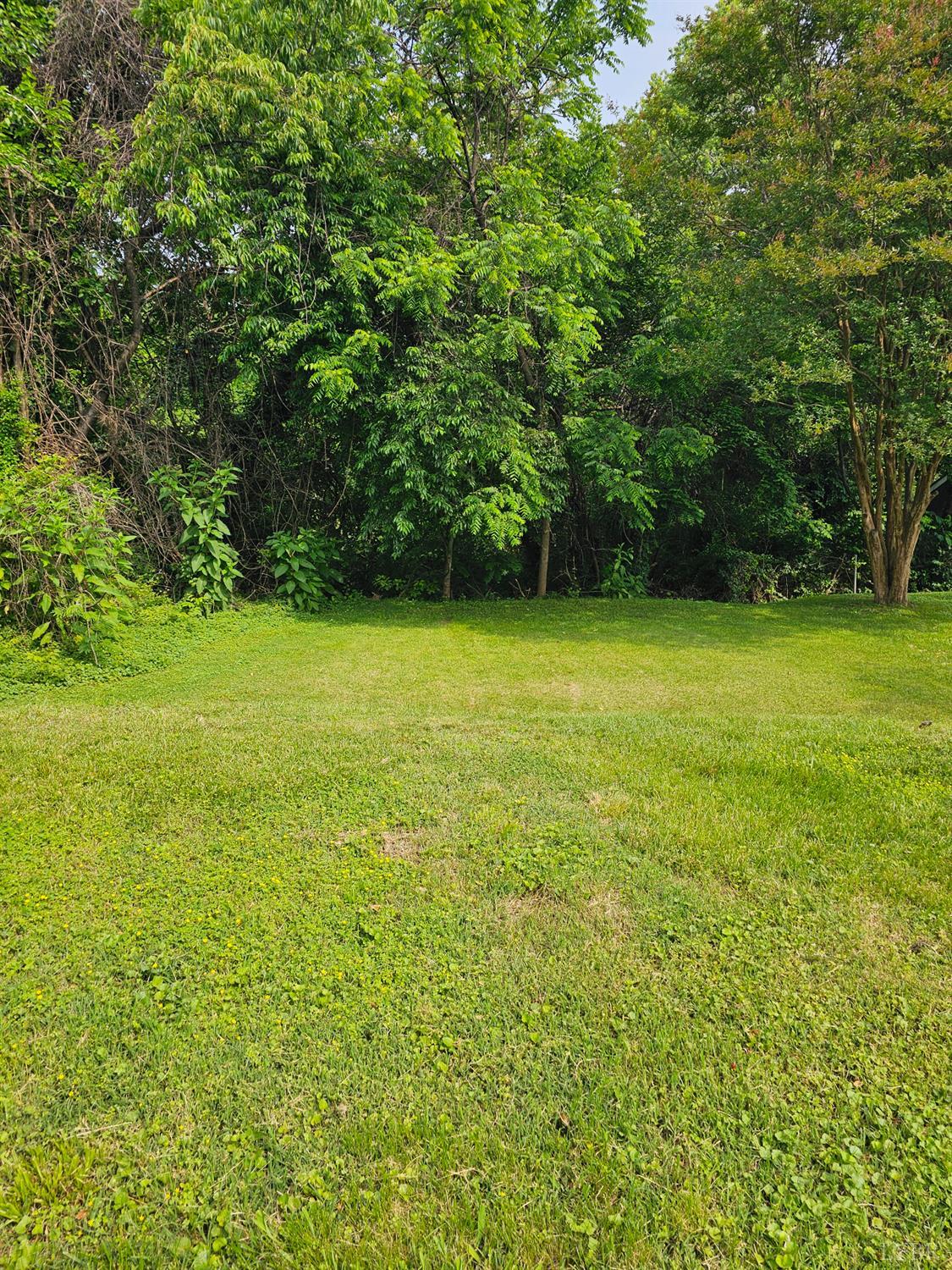 1009 16th Street, Lynchburg, Virginia image 17