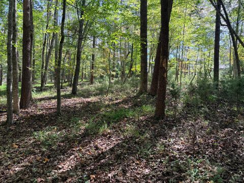 Tiny photo for 0 Lot 25 Cutlass Road, Moneta, VA 24121 (MLS # 362300)
