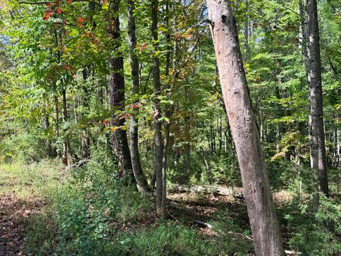 Tiny photo for 0 Lot 25 Cutlass Road, Moneta, VA 24121 (MLS # 362300)