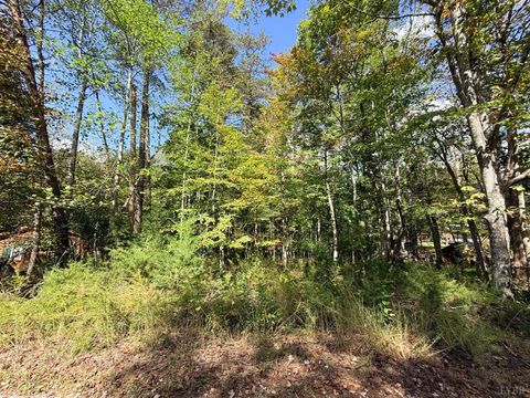 Tiny photo for 0 Lot 25 Cutlass Road, Moneta, VA 24121 (MLS # 362300)
