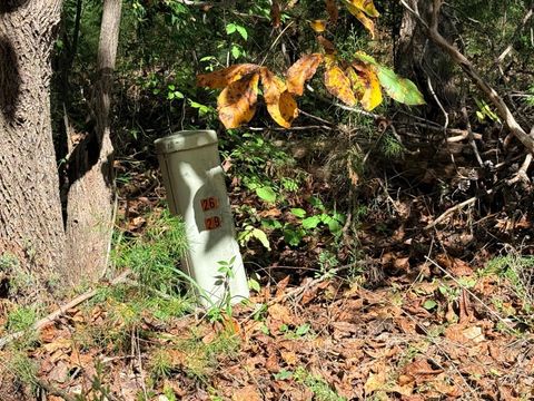 Tiny photo for 0 Lot 25 Cutlass Road, Moneta, VA 24121 (MLS # 362300)