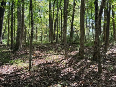 Photo of 0 Lot 25 Cutlass Road, Moneta, VA 24121 (MLS # 362300) Photo of 0 Lot 25 Cutlass Road, Moneta, VA 24121 (MLS # 362300)
