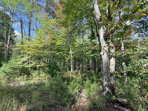 Tiny photo for 0 Lot 25 Cutlass Road, Moneta, VA 24121 (MLS # 362300)