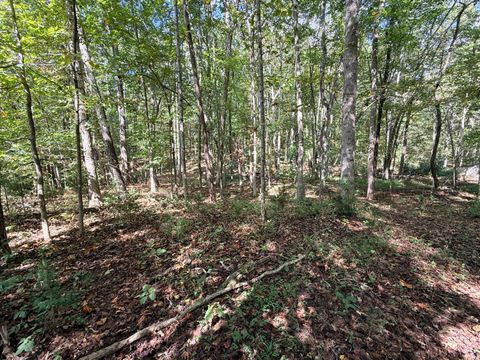 Tiny photo for 0 Lot 25 Cutlass Road, Moneta, VA 24121 (MLS # 362300)