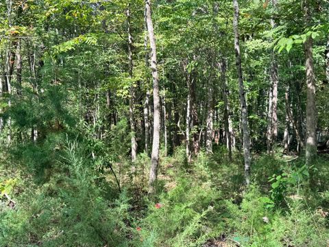 Tiny photo for 0 Lot 25 Cutlass Road, Moneta, VA 24121 (MLS # 362300)