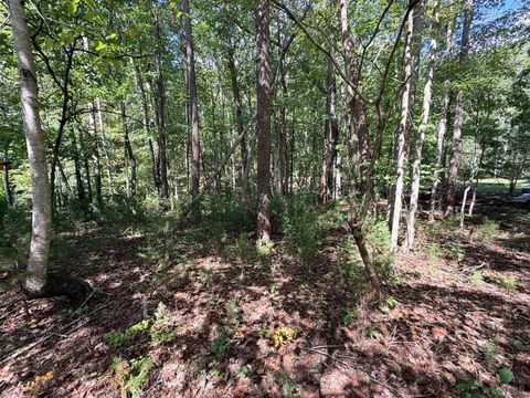 Tiny photo for 0 Lot 25 Cutlass Road, Moneta, VA 24121 (MLS # 362300)