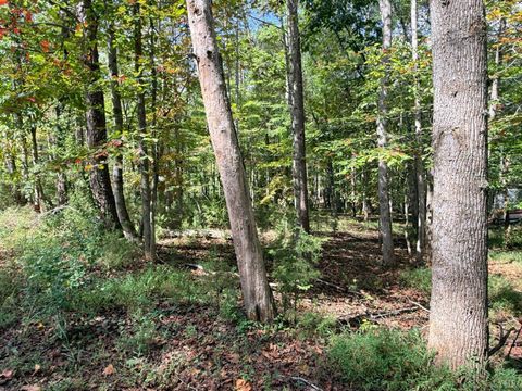 Tiny photo for 0 Lot 25 Cutlass Road, Moneta, VA 24121 (MLS # 362300)