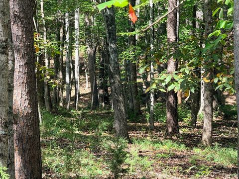 Tiny photo for 0 Lot 25 Cutlass Road, Moneta, VA 24121 (MLS # 362300)