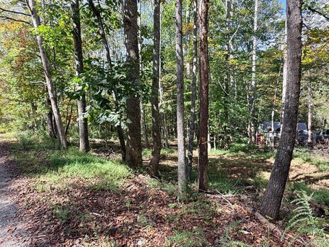 Tiny photo for 0 Lot 25 Cutlass Road, Moneta, VA 24121 (MLS # 362300)