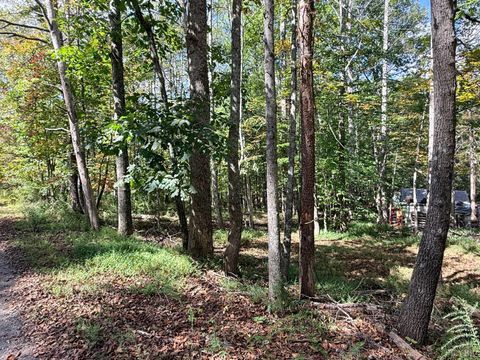 Tiny photo for 0 Lot 25 Cutlass Road, Moneta, VA 24121 (MLS # 362300)
