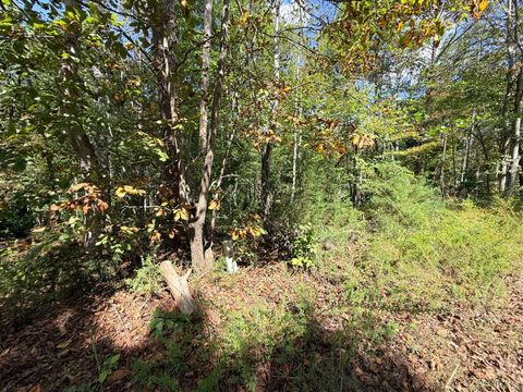Tiny photo for 0 Lot 25 Cutlass Road, Moneta, VA 24121 (MLS # 362300)