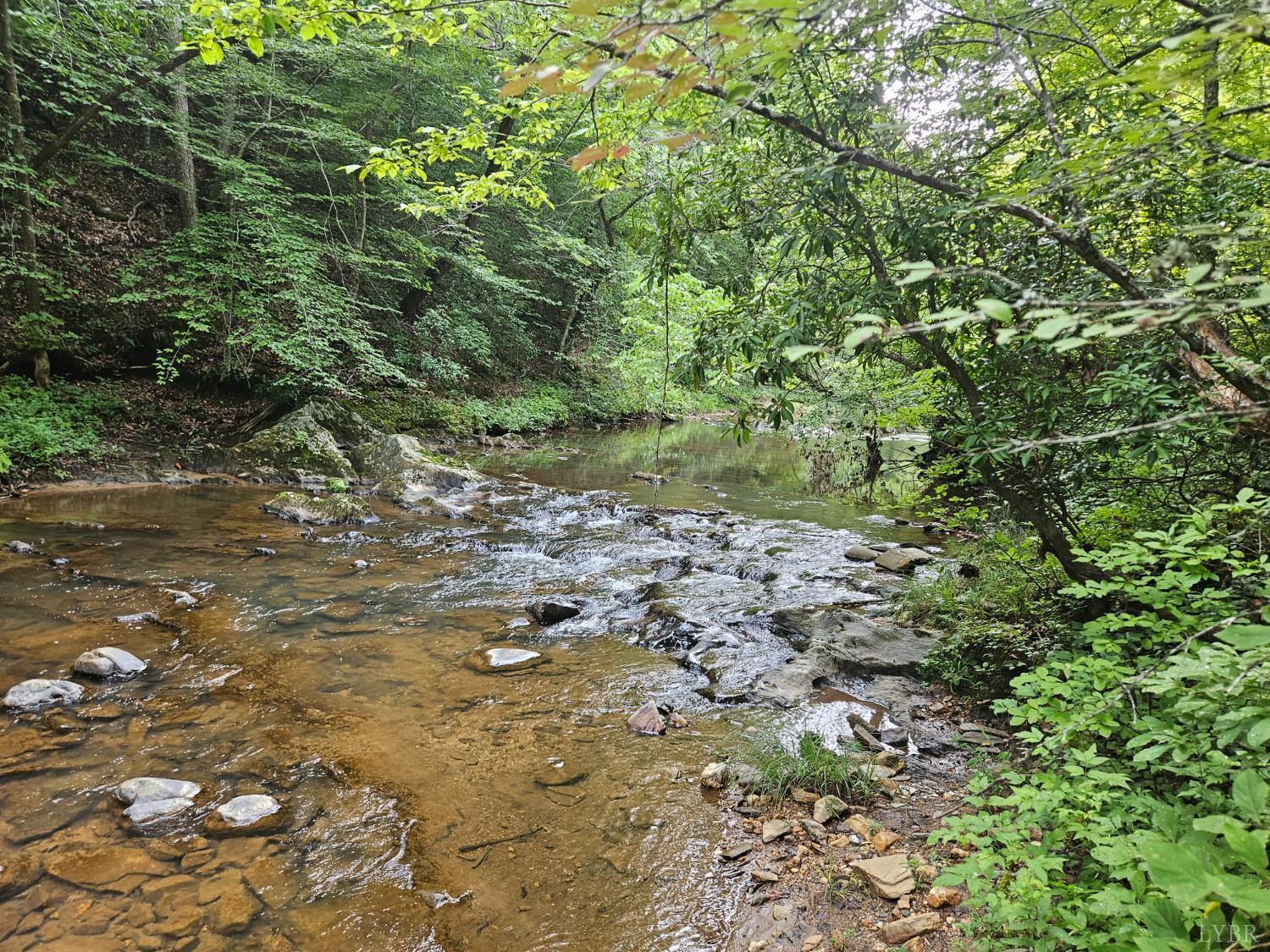 Earley Farm Road, Madison Heights, Virginia image 1