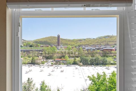 Tiny photo for 1600 Wards Ferry Road #506, Lynchburg, VA 24502 (MLS # 363475)