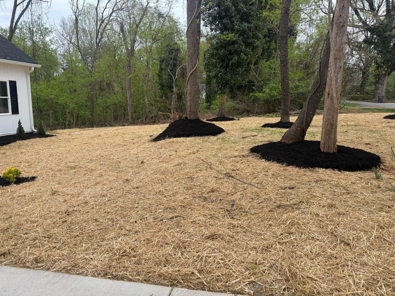 Lynchburg, Virginia 24501, United States, 3 Bedrooms Bedrooms, ,2 BathroomsBathrooms,Residential,Active,79357