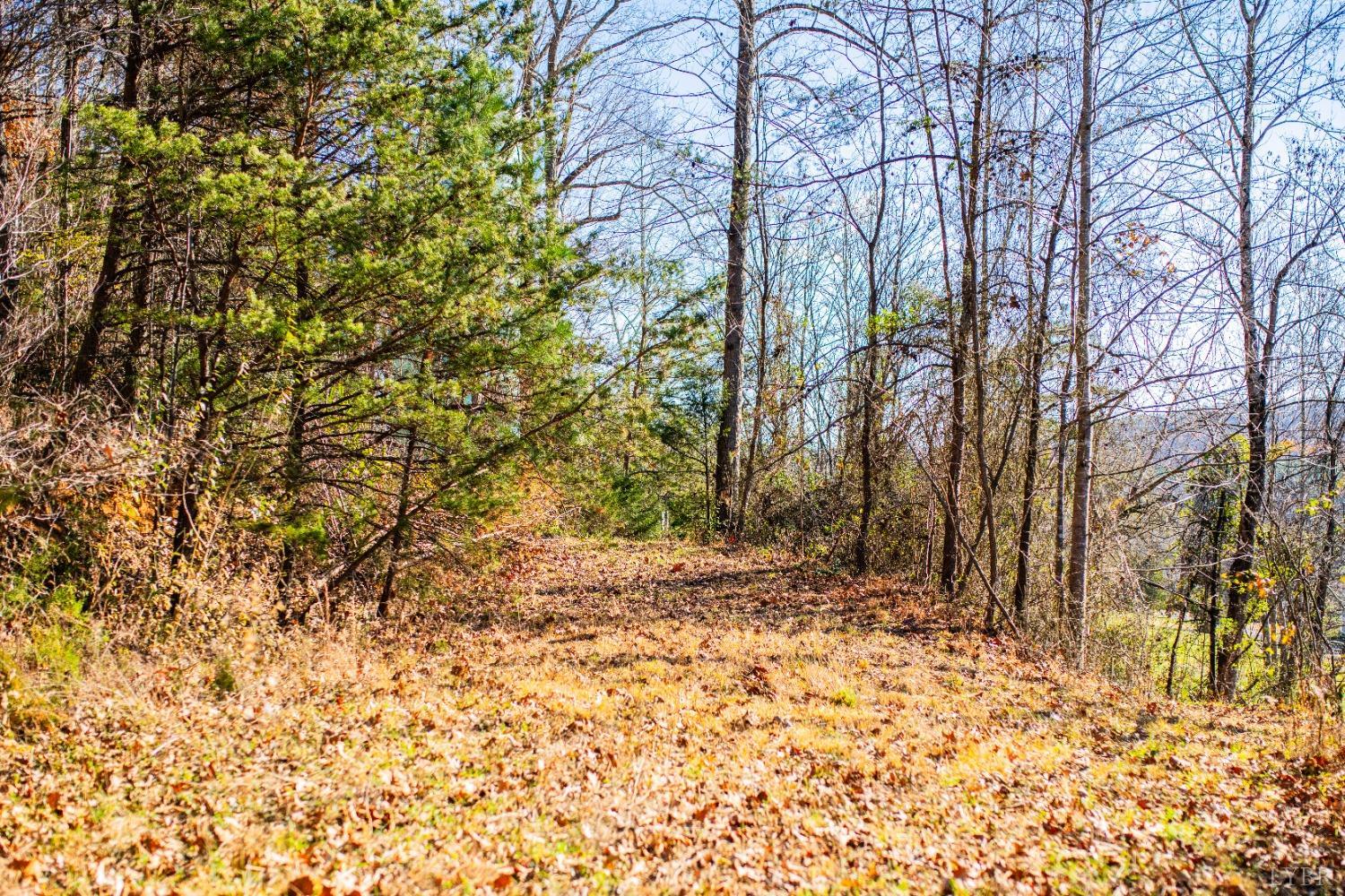 James River Road, Shipman, Virginia image 9