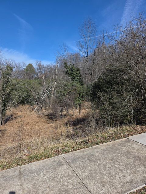 Tiny photo for 807 Old Forest Road, Lynchburg, VA 24501 (MLS # 364595)