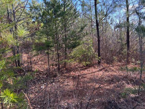 Tiny photo for 0 Mohawk, Long Island, VA 24569 (MLS # 364182)