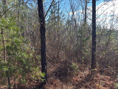 Tiny photo for 0 Mohawk, Long Island, VA 24569 (MLS # 364182)