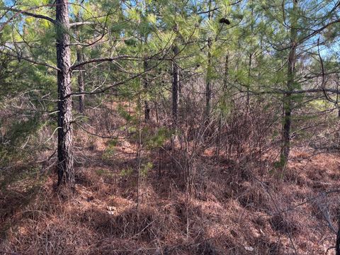 Tiny photo for 0 Mohawk, Long Island, VA 24569 (MLS # 364182)