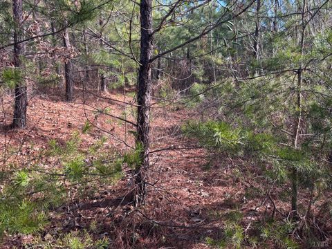 Photo of 0 Mohawk, Long Island, VA 24569 (MLS # 364182)