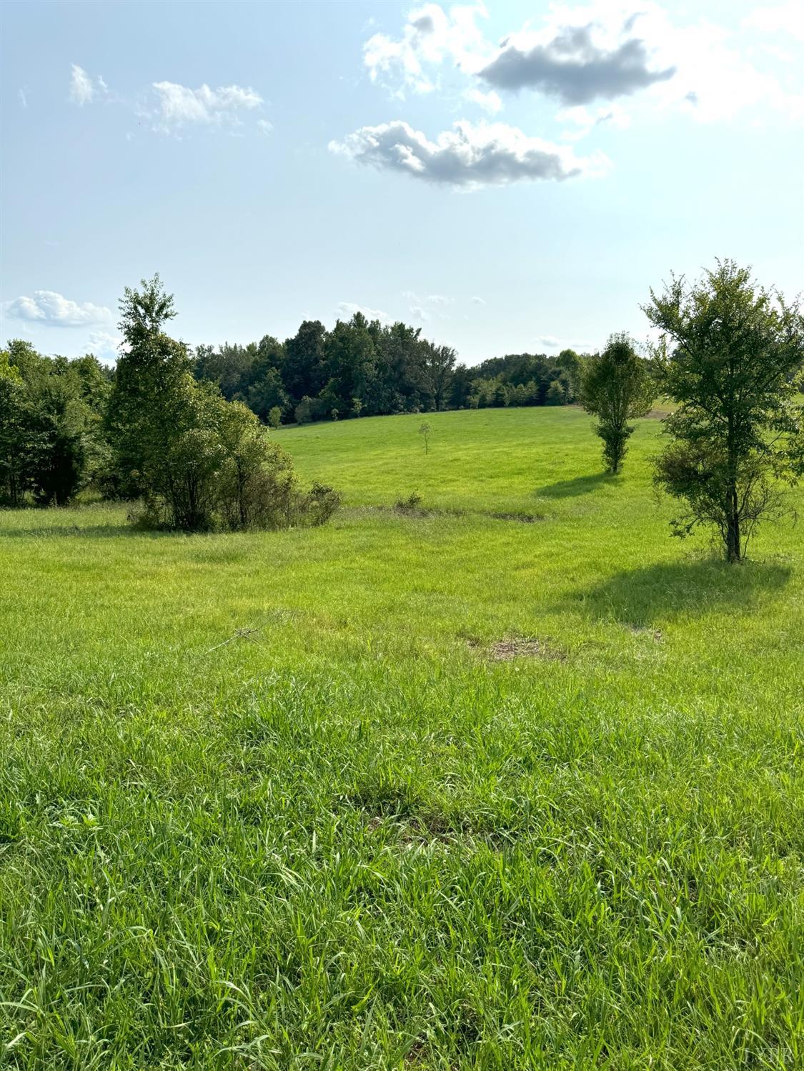 Fearstown Parcel 4 Road, Randolph, Virginia image 3