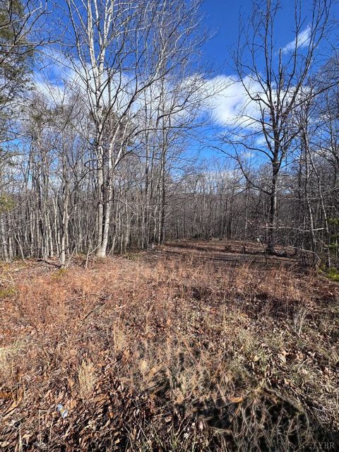 Photo of 0 Powell School Road, Big Island, VA 24526 (MLS # 364069)