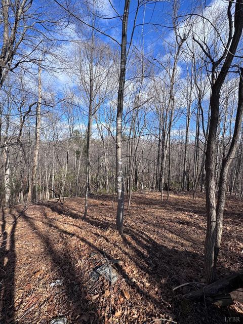 Tiny photo for 0 Powell School Road, Big Island, VA 24526 (MLS # 364069)