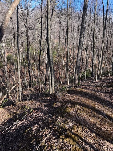 Tiny photo for 0 Powell School Road, Big Island, VA 24526 (MLS # 364069)