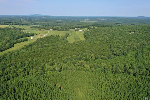 Tiny photo for 0 Tin Top Place, Concord, VA 24538 (MLS # 362544)