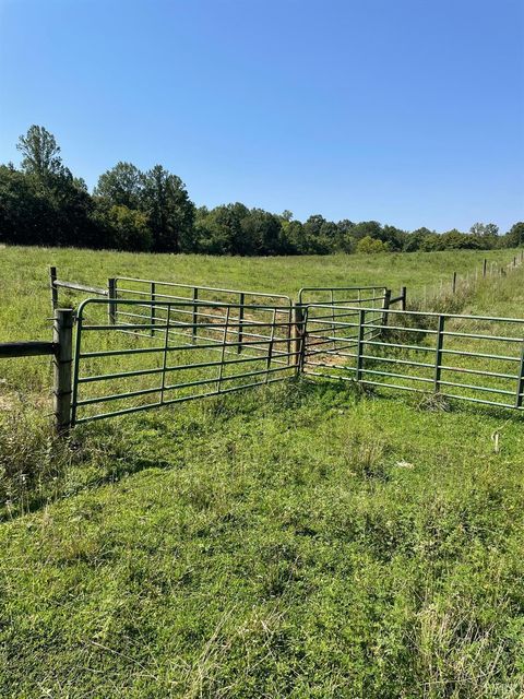 Tiny photo for 0 Tin Top Place, Concord, VA 24538 (MLS # 362544)