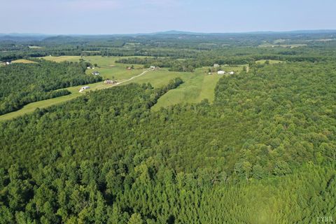 Tiny photo for 0 Tin Top Place, Concord, VA 24538 (MLS # 362544)