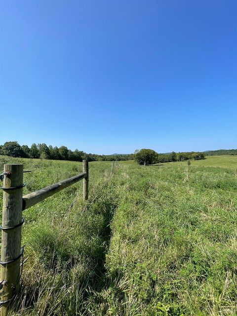 Tiny photo for 0 Tin Top Place, Concord, VA 24538 (MLS # 362544)