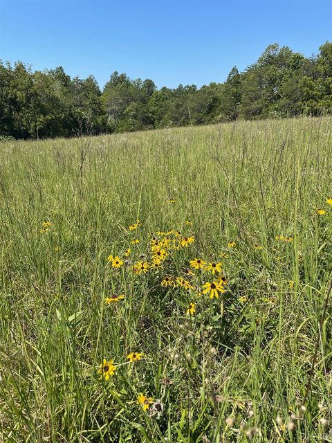 Tiny photo for 0 Tin Top Place, Concord, VA 24538 (MLS # 362544)