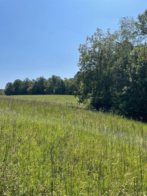 Tiny photo for 0 Tin Top Place, Concord, VA 24538 (MLS # 362544)