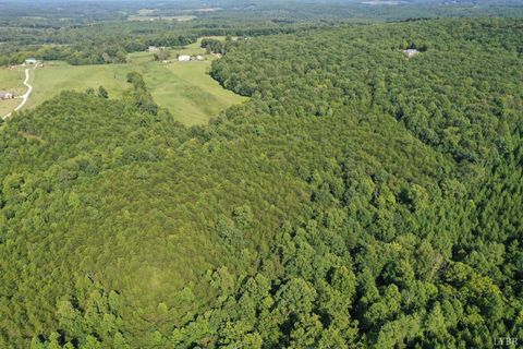 Tiny photo for 0 Tin Top Place, Concord, VA 24538 (MLS # 362544)