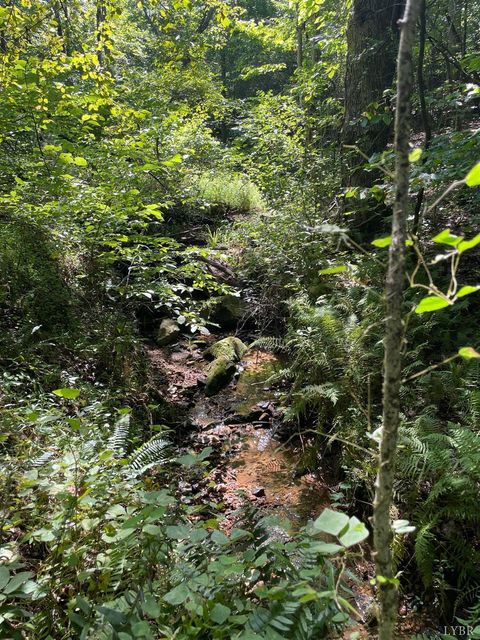 Tiny photo for 0 Tin Top Place, Concord, VA 24538 (MLS # 362544)