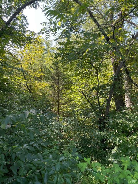 Tiny photo for 0 Tin Top Place, Concord, VA 24538 (MLS # 362544)
