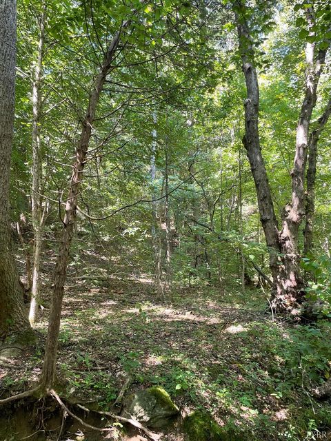 Tiny photo for 0 Tin Top Place, Concord, VA 24538 (MLS # 362544)