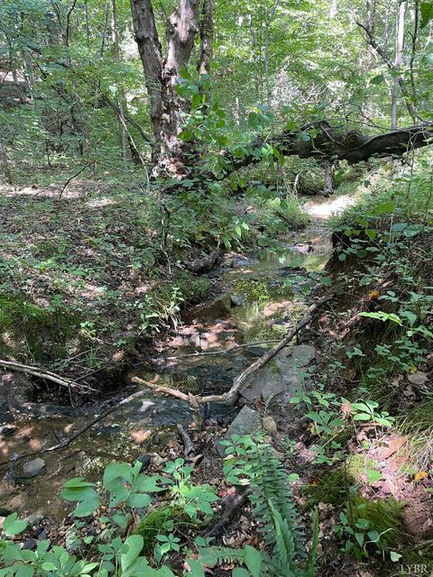 Tiny photo for 0 Tin Top Place, Concord, VA 24538 (MLS # 362544)