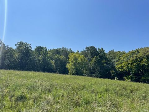 Tiny photo for 0 Tin Top Place, Concord, VA 24538 (MLS # 362544)