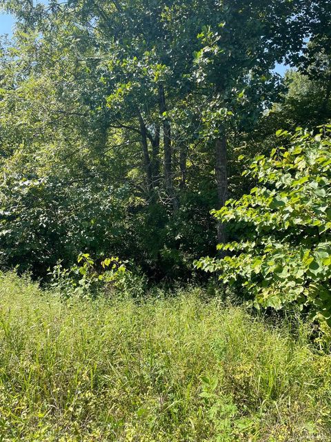 Tiny photo for 0 Tin Top Place, Concord, VA 24538 (MLS # 362544)