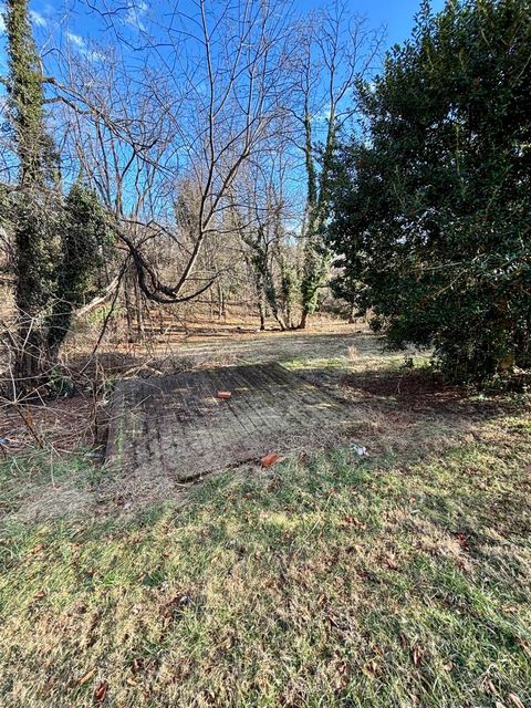 Tiny photo for 411 Newberne Street, Lynchburg, VA 24501 (MLS # 364617)