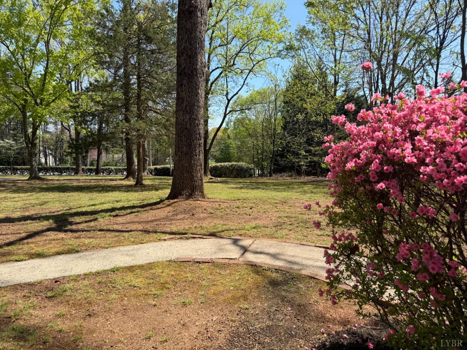 407 Old Graves Mill Road, Lynchburg, Virginia image 40
