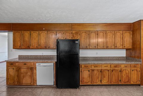 Tiny photo for 687 Hixburg Road Rd, Pamplin, VA 23958 (MLS # 363659)