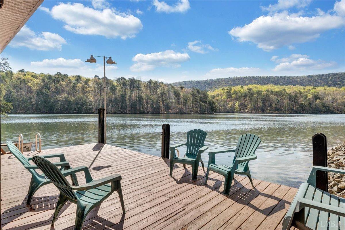 806 Cedar Key Lane, Huddleston, Virginia image 49