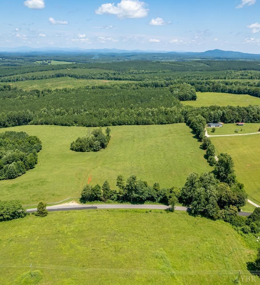 Piney Mountain Road, Appomattox, Virginia image 4